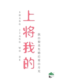 上将，我的